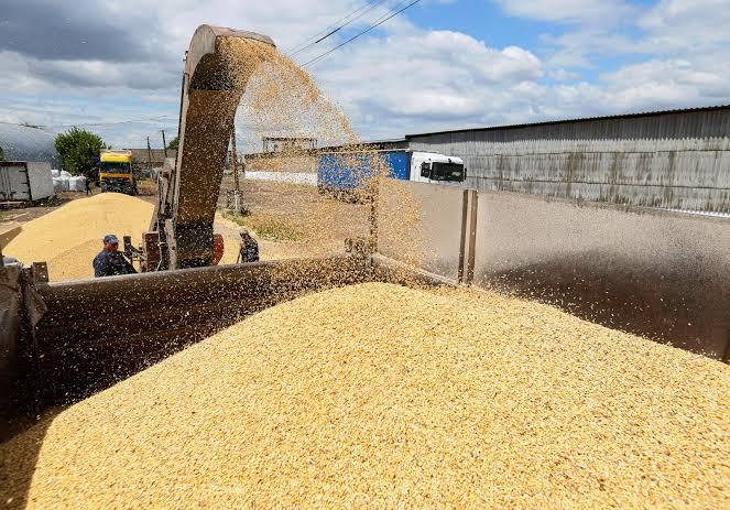 المغرب يعود الى استيراد القمح من الخارج ويخصص دعماً بـ20.80 درهماً للقنطار