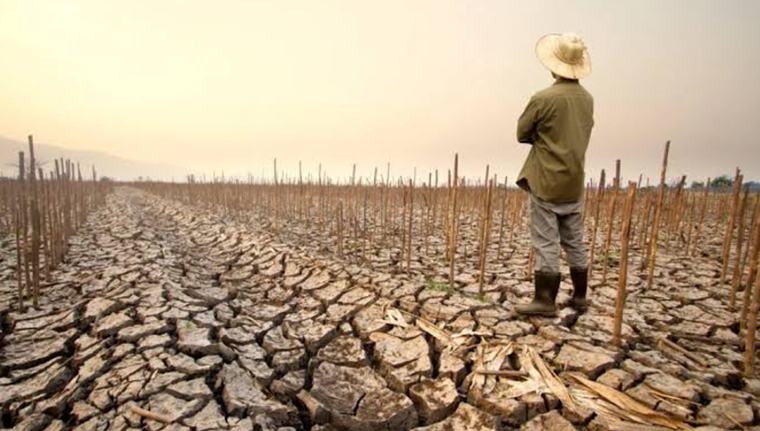 El Niño se renforce, l’ONU redoute une aggravation des risques météorologiques jusqu’en 2027