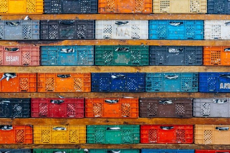 Morocco sardine supply declines as shortages hit German supermarkets